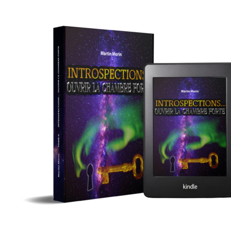 TOME 2 couverture - Introspections Ouvrir la chambre forte. Une histoire d'introspection moderne qui ouvre les portes vers cette science interne méconnue.