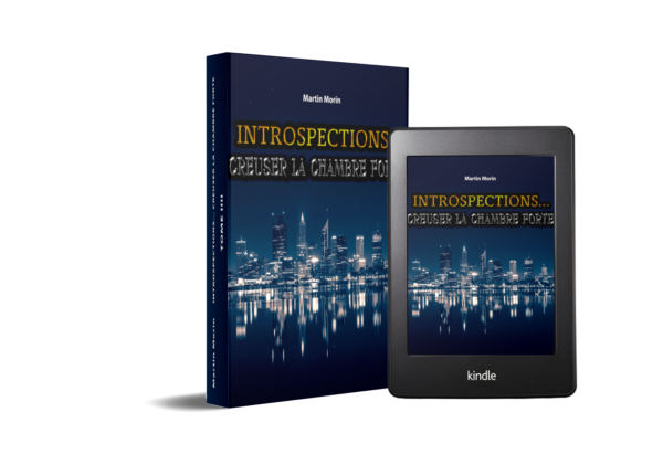 PDF - TOME 3 - Introspections Creuser la chambre forte. Une histoire d'introspection moderne et innovante au coeur du développement interne humain.