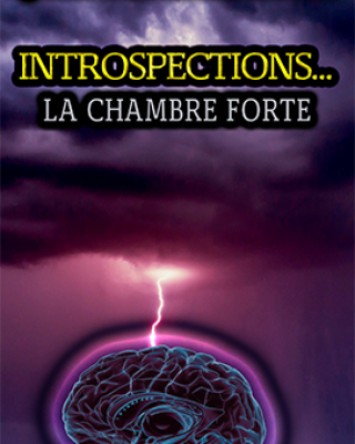 Livre - Introspection - Conscience - Subconscience - Spiritualité - Psychologie - Science - Troisième millénaire - 3e millénaire - Développement personnel - TOME 1 - PDF - Français